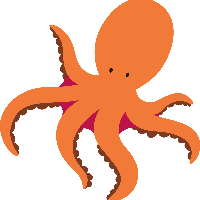 octopus
